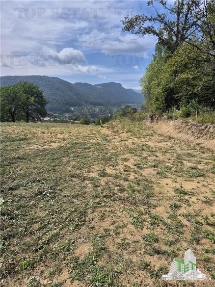 Teren intravilan pentru investitie turistica, 4000 mp, langa Club Vila Bran cu p - 7