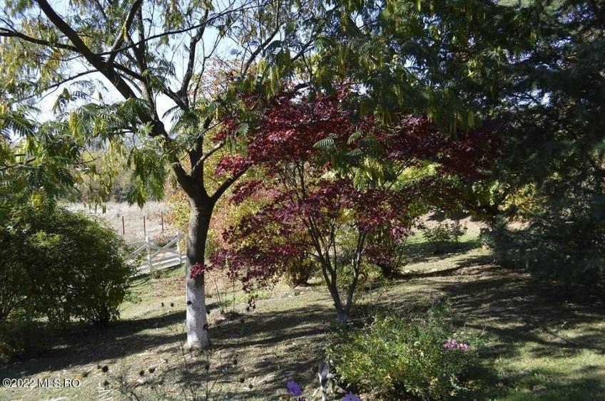 Topoloveni - Conacul Ion Mihalache, Domeniu pe 5 Hectare! - 50