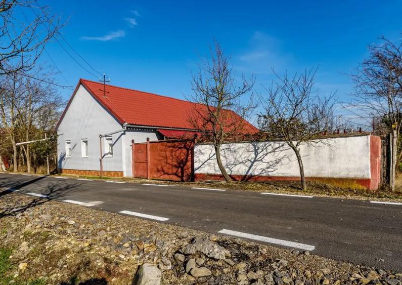 ???? Oportunitate Unica de Vanzare in Variasu Mare! ???? - 6