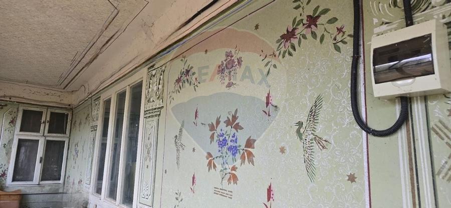 Teren si casă cu teren generos în Socodor - 12