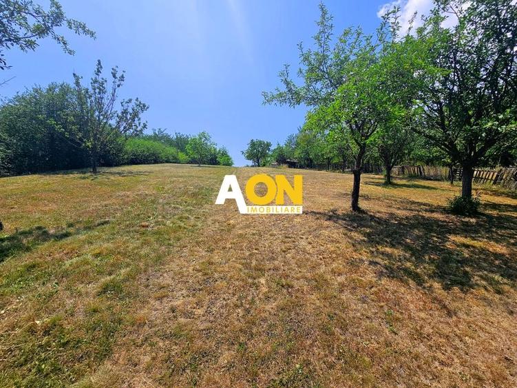 Casa tip cabana de vacanta, 5 camere, 2300 mp teren, zona Schit - 4