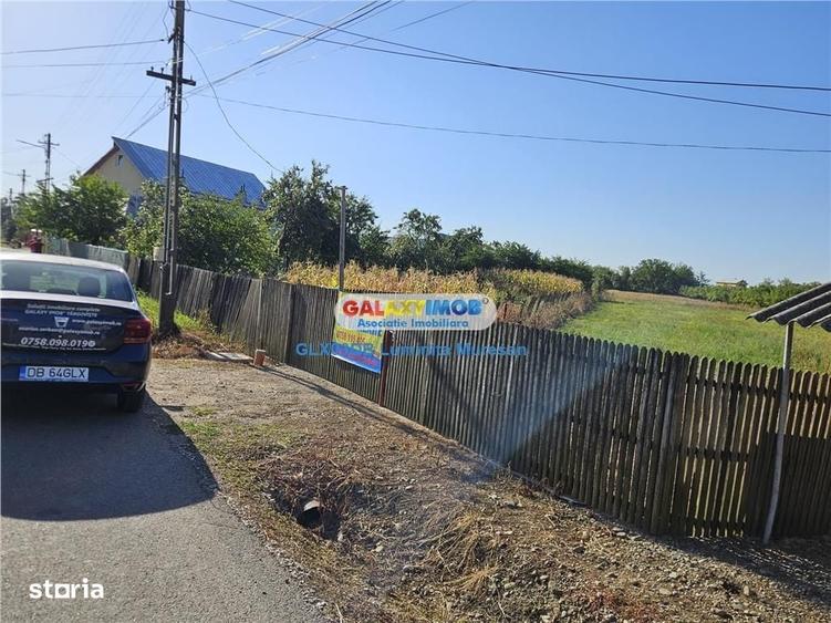 Spațiu comercial, în Dragomirești