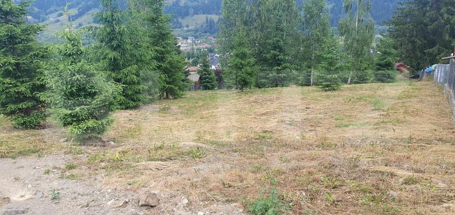 Teren Construcții intravilan de 3268 mp, în Vatra Dornei