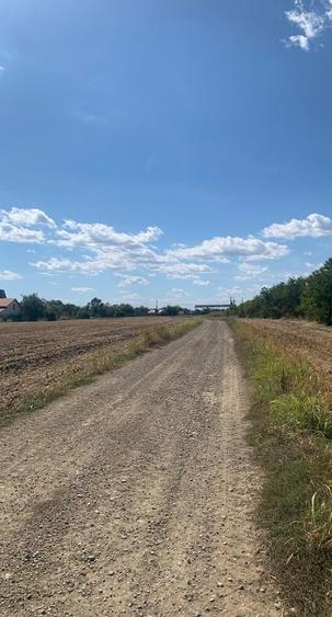 Teren agricol intravilan de 4000 mp, în Dimieni