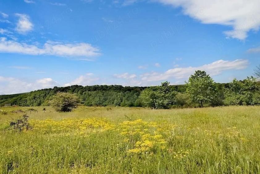 Teren de 2749 mp, în Valea Sălciilor