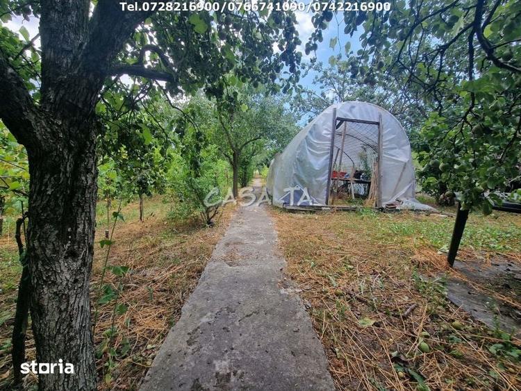 Casă cu 3 camere cu Teren 2554 Mp în Arcani
