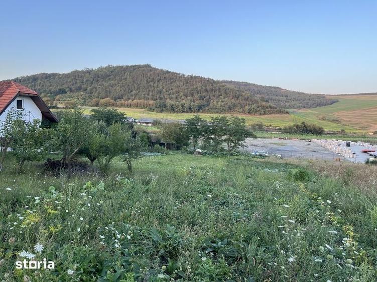 Teren de 1800 mp, în Libertății