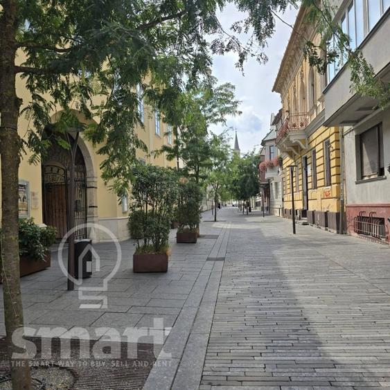Garsonieră decomandată, mobilată în Central