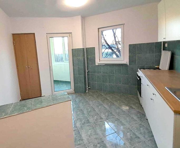 Apartament renovat, nemobilat, 2 camere decomandate, Hateg, Grigorescu - 8