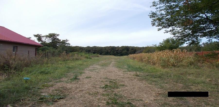 Teren agricol intravilan de 2912 mp, în Crevedia
