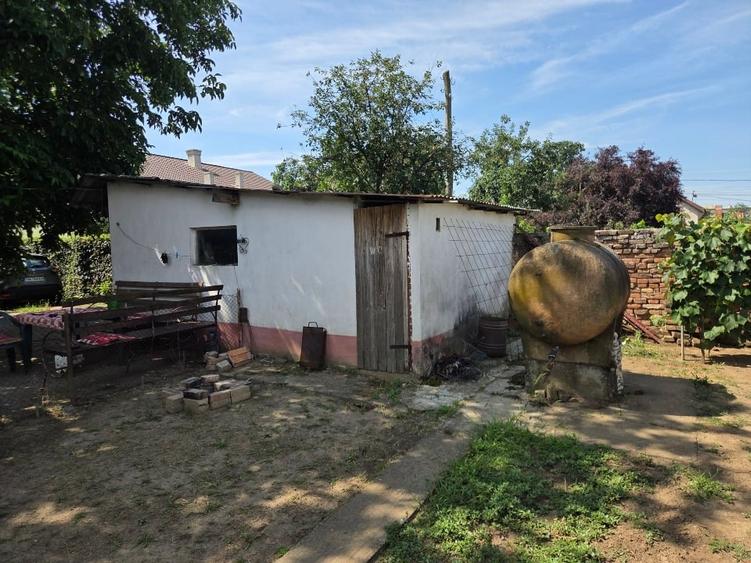 Casă individuală cu 5 camere cu Canalizare în Peciu Nou