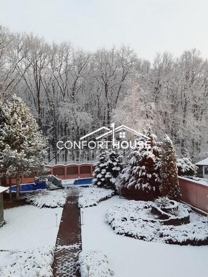 VILA D+P+E+M, 12 camere, piscina , padure, IANCU NICOLAE - 38