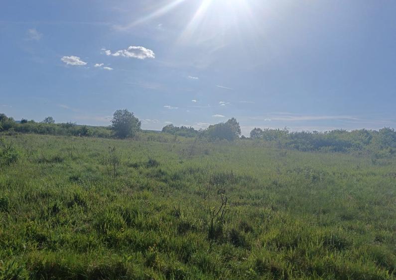 Busag, 45 ari teren intrav. - 1