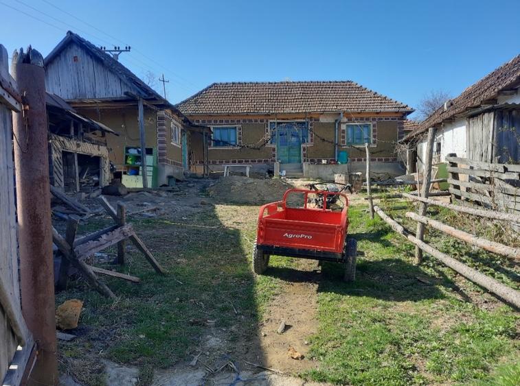 Vand casa la padure - 1