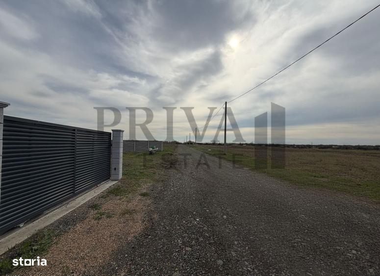 Teren intravilan, 838 mp, fs 19 mp, Mosnita Veche - 5