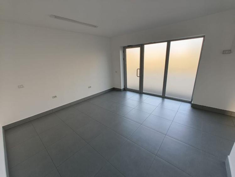 Spatiu comercial Calea Radnei Micalaca - 2