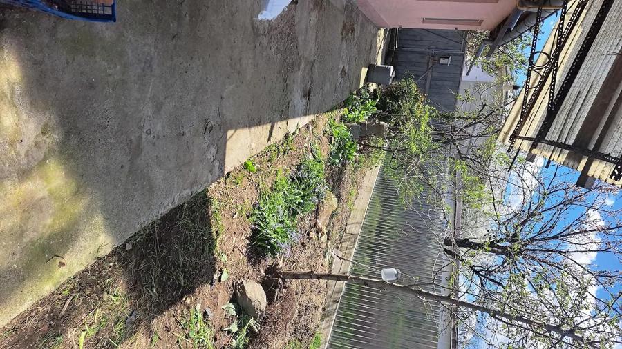 Casa 3 camere, 80 mp utili, centrala gaze, curte, in zona Plantelor Braila - 7