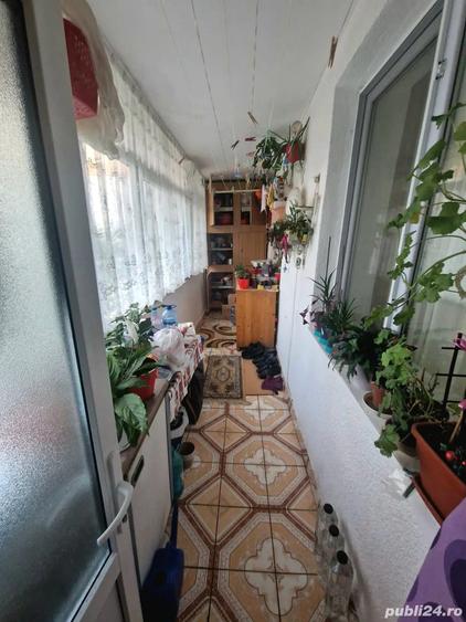 Ap. 3 camere- decomandat- parter+balcon ?i beci, Plevna - 4