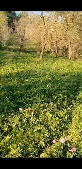 Super oferta valabila doar luna aceasta.Teren de vanzare Calimanesti - 2