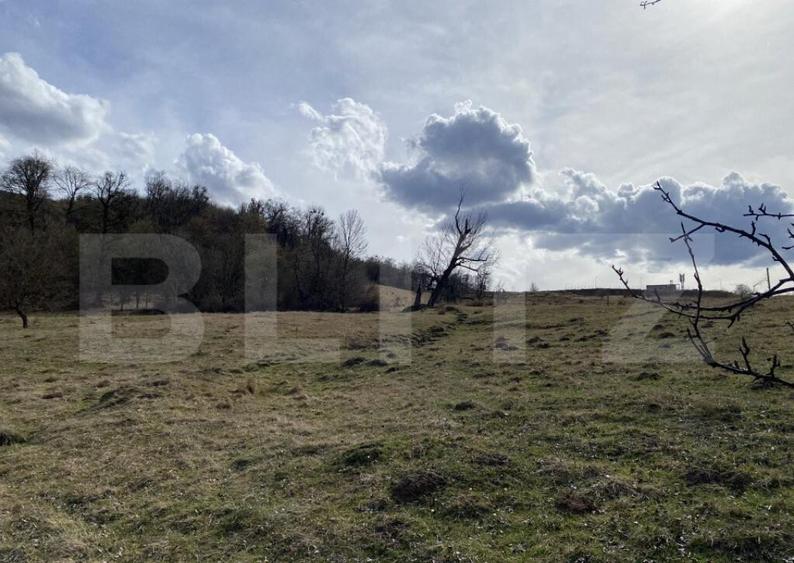 Teren extravilan in suprafata de 7500 mp la poalele Mesesulu - 6