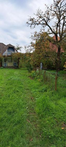 Vand teren + casa batraneasca + ?ura + anexe in Ocoli?, jud. Maramure? - 10