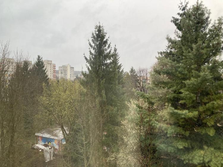 Apartament 2 camere decomandat + PARCARE | Manastur Piata Flora | AC + uscator rufe - 8