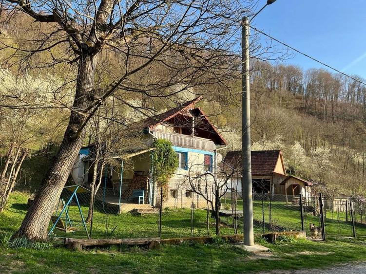 Pret actualizat | Proprietar vand casa la munte cu 6.019 mp teren, gradina, livada, utilitati complete Bacaia (Geoagiu) - 2