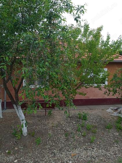 casa vanzare seleus - 10