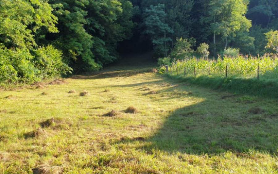 Teren 7000mp Pucioasa - Zona Pitoreasca - 1