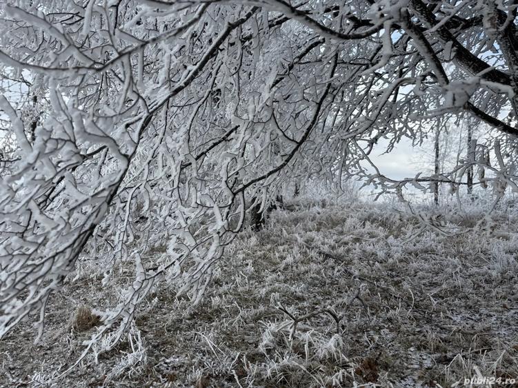 Apartament lux 2 camere de inchiriat Future Residence - 7