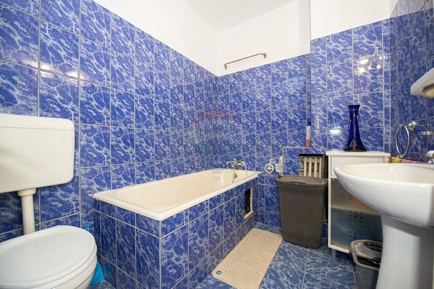 Vila de vanzare cu etaj Calea Calarasi Delea Veche - 22