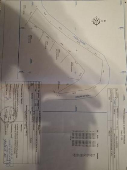 Vand 80 ari teren intravilan - 2