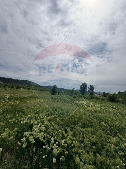 Teren agricol intravilan de 11000 mp, în Hinova