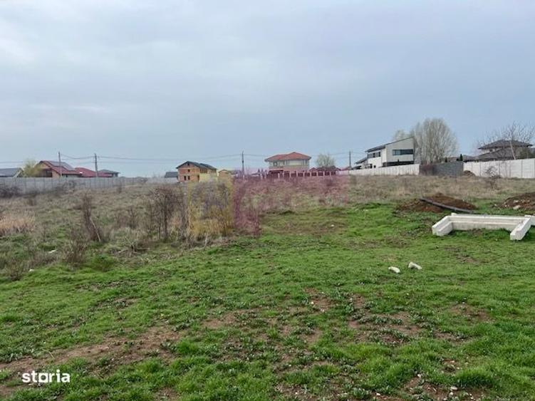 Teren Domnesti- Drumul Targului. - 2