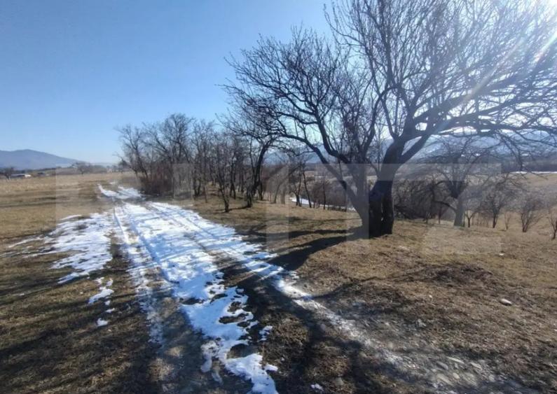 Teren extravilan de vanzare, 25 ari, zona Rusul Bargaului - 3