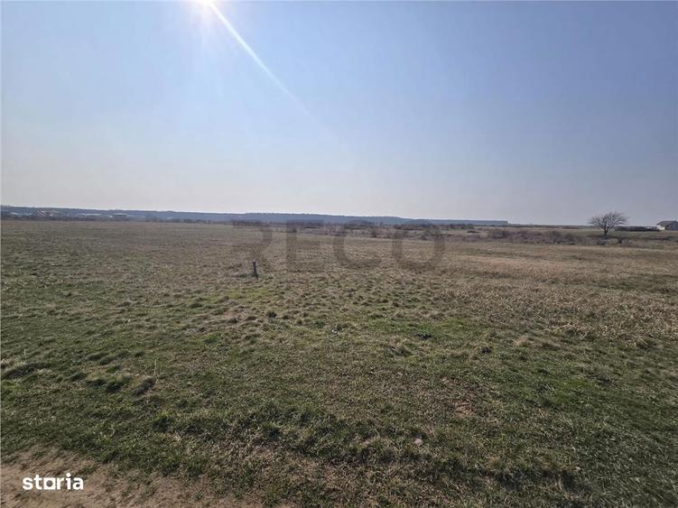 RECO Teren Grigorescu - 5