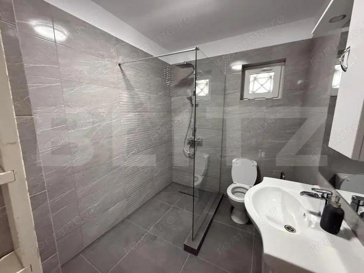 Inchiriere Casa Bulevardul Castanilor - 19