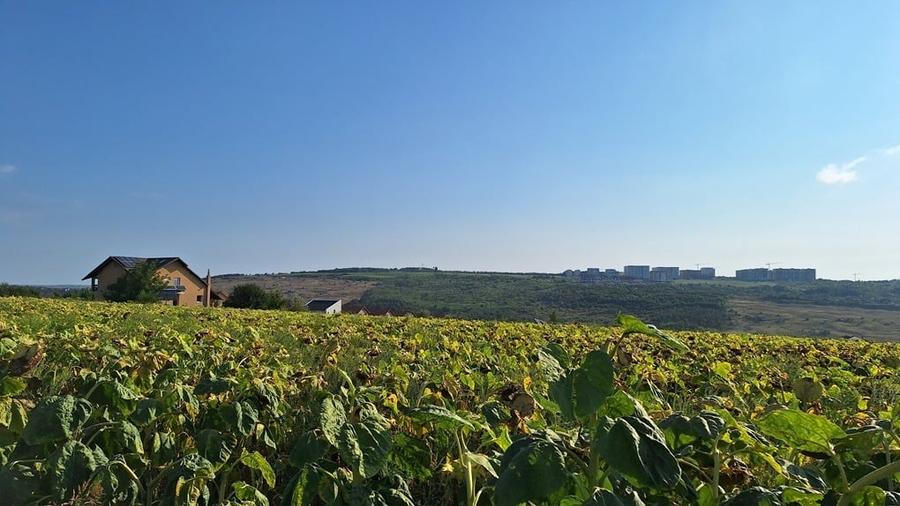 Vand teren intravilan, 5000 mp, Iasi, Rediu, Podisul Beldiman - 5