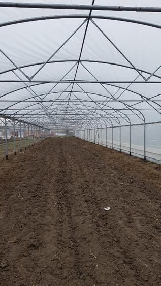 De vanzare sera legume spatiu de depozitare si utilaje agricole - 5