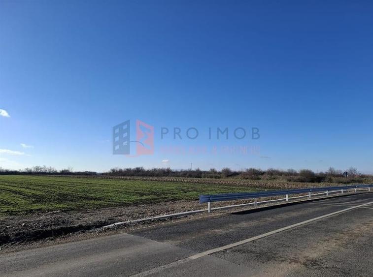 Teren intravilan 2461 mp zona Vadu pasii Nod rutier Autostrada A7 - 1