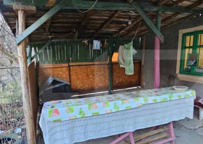 Casa rustica de vacanta (62mp) in sat Magura cu 1000mp teren - 9