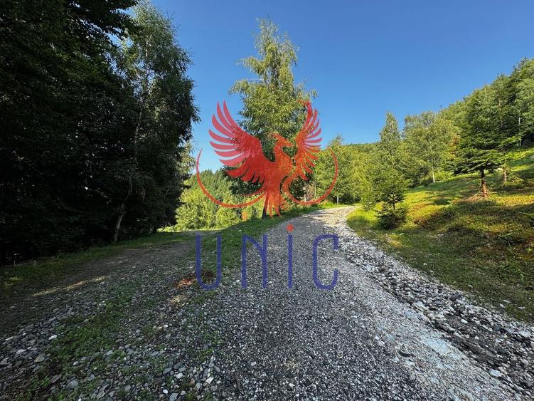 18000 mp de natura pura ,Lupeni, langa Straja - 26