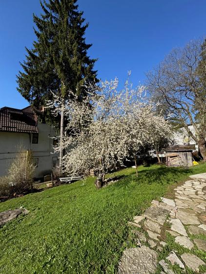 Apartament la curte Predeal - 11