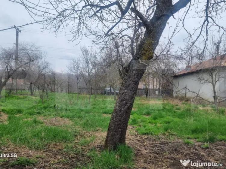 TEREN zona aer curat CASA si ANEXA - 6