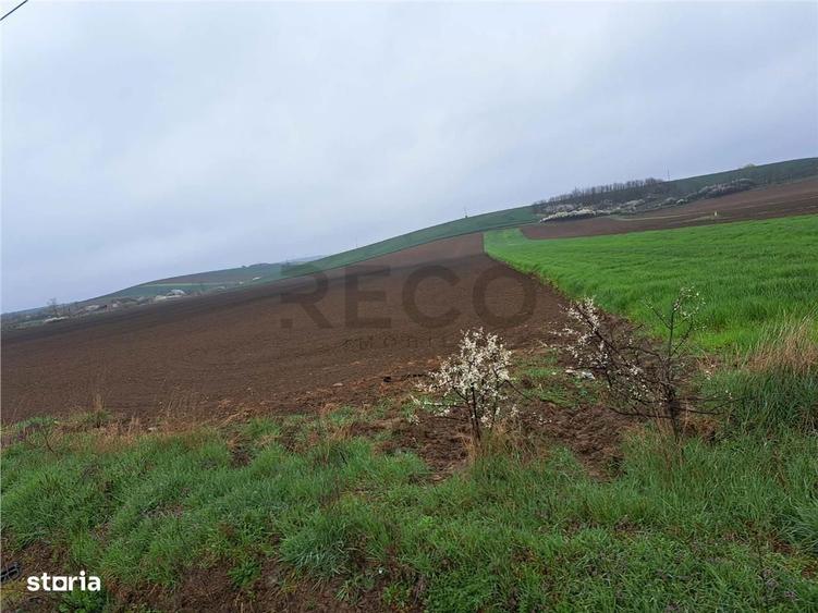 RECO teren Ghenetea 7800mp - 3