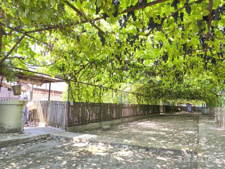 Vand teren 1900mp cu casa batraneasca locuibila - 1