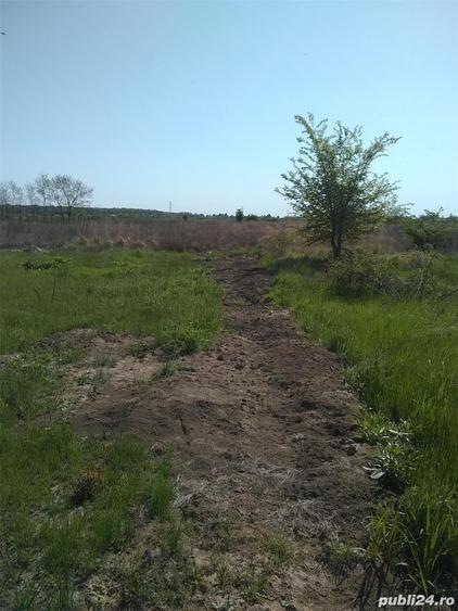 Teren de 1000 mp, în Periș