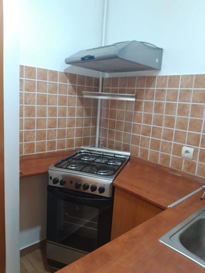 Cismigiu-apartament 2 camere de inchiriat - 9