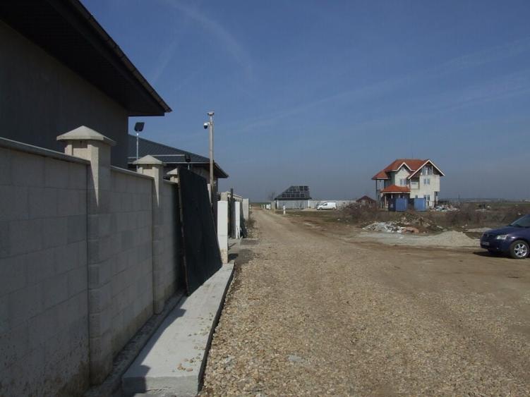 Domnesti-Ciocarliei(Afinului-Fragilor). - 2