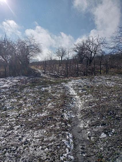 Vand casa cu teren Perieni - 7